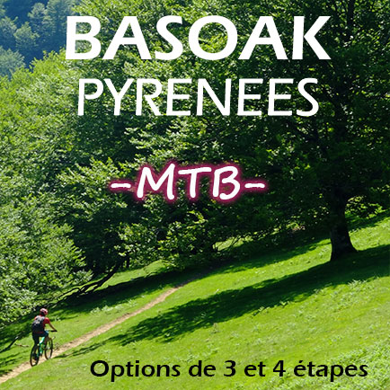 Basoak-VTT